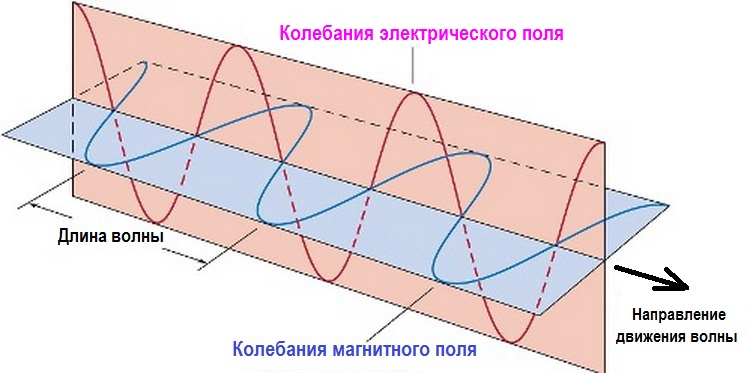 Продольные и поперечные волны.